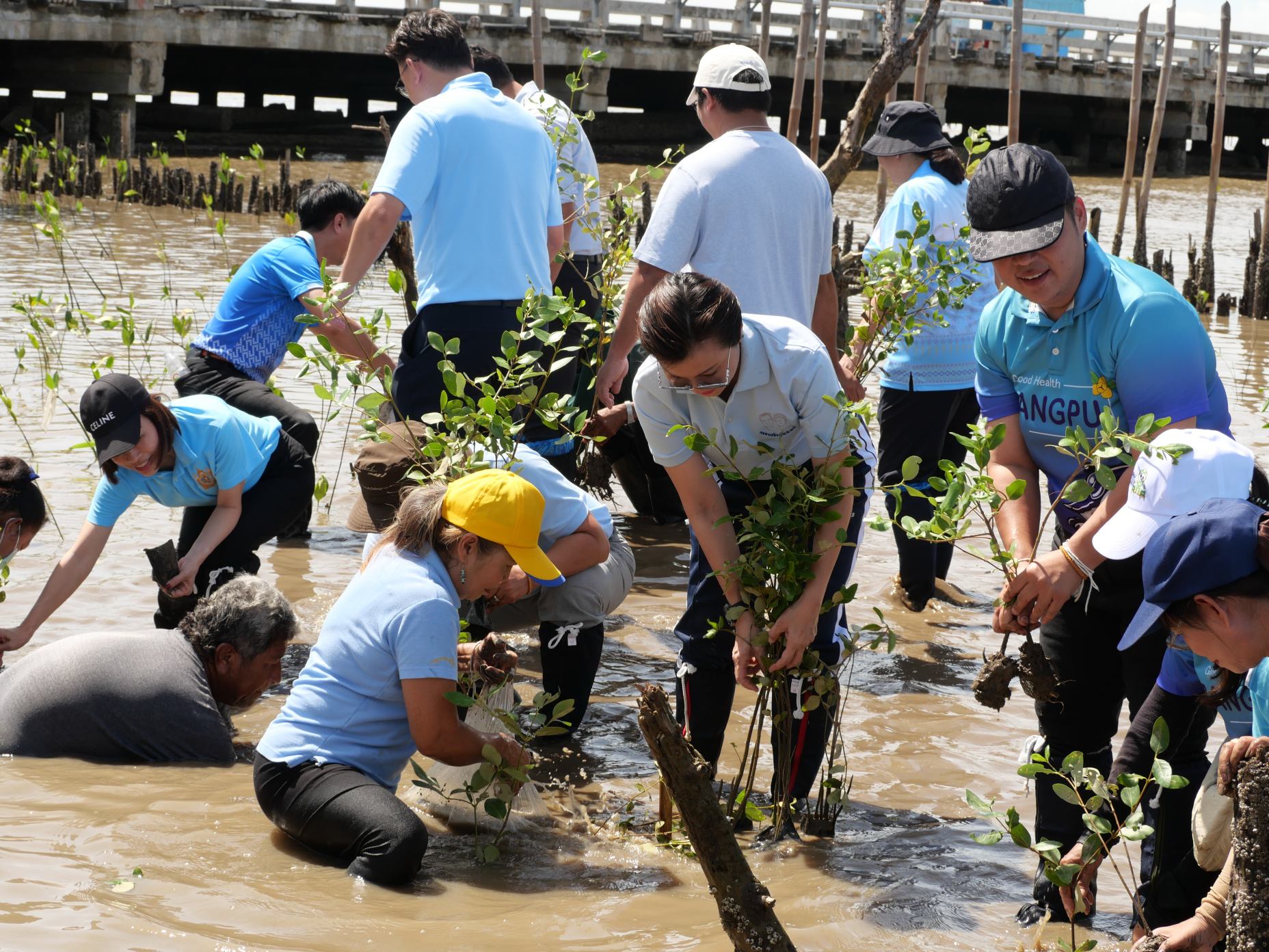สมุทรปราการ ทต.บางปูจัดกิจกรรมปลูกป่าและลงนามความร่วมมือฟื้นฟูสิ่งแวดล้อม ที่สถานตากอากาศบางปู อ.เมือง จ.สมุทรปราการ นายธีรพล ชุนเจริญ นายกเทศมนตรีตำบลบางปู เป็นประธานในพิธีเปิดและพิธีลงนามบันทึกข้อตกลงความร่วมมือ (MOU) กิจกรรมฟื้นฟูและอนุรักษ์สิ่งแวดล้อม ระหว่างเทศบาลตำบลบางปู และกองสถานพักผ่อน กรมพลาธิการทหารบก มีนายณัฏฐพร พรหมมาศ รองปลัดเทศบาล เป็นผู้กล่าวรายงานวัตถุประสงค์การจัดกิจกรรมปลูกป่า โดยมีพันเอกธรณัส บำรุงกิจ ผู้อำนวยการกองสถานพักผ่อน กรมพลาธิการทหารบก คุณศิริพร ยงค์สงวนชัย ภริยานายกเทศมนตรี คณะผู้บริหาร ที่ปรึกษา เลขานุการ ประธานสภาเทศบาล สมาชิกสภาเทศบาล ที่ปรึกษาภาคประชาชน หัวหน้าส่วนราชการ พนักงานเทศบาล กองสถานพักผ่อน กรมพลาธิการทหารบก กลุ่มเพื่อนนายก สถานีตำรวจภูธรบางปู ศาลเยาวชนและครอบครัวจังหวัดสมุทรปราการ ประชาชน ผู้แทนชุมชนในเขตเทศบาลตำบลบางปู รวมจำนวน 400 คน เข้าร่วมพิธีฯ เพื่อเพิ่มพื้นที่ป่าชายเลน สร้างความสมดุลในระบบนิเวศ ให้เป็นประโยชน์แก่ประชาชนโดยรวม โดยการให้ความรู้ สร้างความเข้าใจ ความตระหนักให้เห็นคุณค่าและความสำคัญของป่าชายเลน โดยมีนายณัฏฐพร พรหมมาศ รองปลัดเทศบาล และพันเอกธีระธรรม มานุช รองผู้อำนวยการ กองสถานพักผ่อน กรมพลาธิการทหารบก ร่วมเป็นสักขีพยานบันทึกข้อตกลงความร่วมมือ ภายหลังพิธีการเสร็จสิ้น รับฟังบรรยายการให้ความรู้ ความเข้าใจเรื่อง สภาพป่าชายเลน ระบบนิเวศทางทะเล และสาธิตวิธีการปลูกป่าชายเลน โดยจ่าสิบเอกหัสชัย ไกรยะวุธ เจ้าหน้าที่ศูนย์ศึกษาธรรมชาติกองทัพบก จากนั้น นายธีรพล ชุนเจริญ นายกเทศมนตรีตำบลบางปูและผู้เข้าร่วมโครงการฯ ได้ร่วมกันปลูกต้นแสมและต้นลำพู จำนวน 4,000 ต้น และเก็บขยะในบริเวณพื้นที่ปลูกป่าชายเลน เพื่อร่วมรักษาสิ่งแวดล้อมทางทะเลให้มีความอุดมสมบูรณ์มากขึ้น