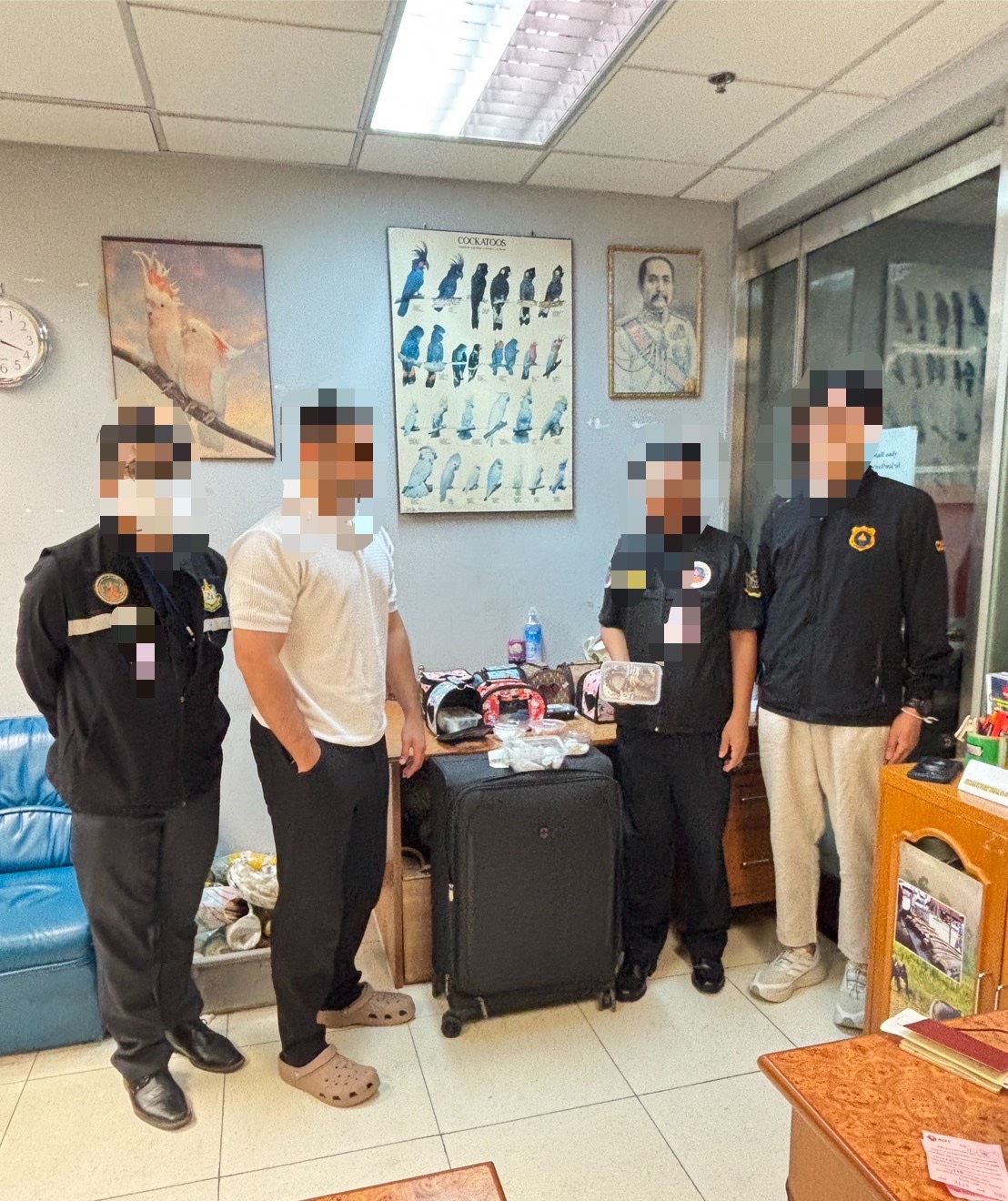 สมุทรปราการ สุทธิวิทย์ ชยุตม์วรกานต์ กรมศุลกากรบูรณาการร่วมกับกรมอุทยานแห่งชาติ สัตว์ป่า และพันธุ์พืช จับกุมชายชาวโอมาน ลักลอบขนสัตว์ป่ามีชีวิตออกนอกประเทศ มูลค่ากว่า 6 หมื่นบาท ดร.เอกนิติ นิติทัณฑ์ประภาศ รองนายกรัฐมนตรีและรัฐมนตรีว่าการกระทรวงการคลัง ได้มอบนโยบายให้ กรมศุลกากรบูรณาการความร่วมมือกับหน่วยงานบังคับใช้กฎหมายเพิ่มความเข้มงวดในการควบคุมการนำเข้า-ส่งออกไม่ให้เกิดการค้าสัตว์ป่าเพื่อสร้างความเชื่อมั่นว่าประเทศไทยให้ความสำคัญกับการสกัดกั้นการลักลอบการค้าสัตว์ป่า อย่างจริงจังและต่อเนื่อง ตามนโยบายดังกล่าว นายพันธ์ทอง ลอยกุลนันท์ อธิบดีกรมศุลกากร และนางนันท์ฐิตา ศิริคุปต์ ที่ปรึกษาด้านพัฒนาระบบควบคุมทางศุลกากร จึงให้เข้มงวดในการตรวจค้นการลักลอบการค้าสัตว์ป่าทุกเส้นทาง โดยเฉพาะการซุกซ่อนนำออกนอกประเทศทางท่าอากาศยาน ที่จะติดตัวมากับผู้โดยสาร นางสันธนี ไพรัตนากร ผู้อำนวยการสำนักงานศุลกากรตรวจของผู้โดยสารท่าอากาศยานสุวรรณภูมิ เปิดเผยว่า เมื่อวันที่ 8 กันยายน 2569 กรมศุลกากรโดยสำนักงานศุลกากรตรวจของผู้โดยสารท่าอากาศยานสุวรรณภูมิ บูรณาการร่วมกับด่านตรวจสัตว์ป่าท่าอากาศยานสุวรรณภูมิ และหน่วยงานที่เกี่ยวข้อง ตรวจค้นจับกุม ผู้โดยสารชายสัญชาติโอมาน จะเดินทางไปยัง กรุงมัสกัต รัฐสุลต่านโอมาน ผลการตรวจค้นพบของกลางสัตว์ป่ามีชีวิต จำนวนทั้งสิ้น 22 ตัว ได้แก่ ตะกวด 2 ตัว งูหลามบอล 1 ตัว เบียร์ดดราก้อน 5 ตัว ตุ๊กแกเสือดาว 8 ตัว เมียร์แคท 2 ตัว และ ชูการ์ไกลเดอร์ 4 ตัว มูลค่ารวมกว่า 60,000 บาท ซุกซ่อนอยู่ภายในกระเป๋าสัมภาระโหลดขึ้นเครื่อง ผู้อำนวยการสำนักงานศุลกากรตรวจของผู้โดยสารท่าอากาศยานสุวรรณภูมิ ระบุว่า การจับกุมผู้กระทำความผิดในครั้งนี้สะท้อนให้เห็นถึงแนวโน้มการลักลอบนำออกสัตว์ป่ามีชีวิตออกไปนอกราชอาณาจักร ซึ่งอาจส่งผลกระทบเป็นภาพลักษณ์เชิงลบต่อประเทศไทยในการเป็นต้นทาง และทางผ่านของการลักลอบขนสัตว์ป่าระหว่างประเทศ ซึ่งกระทำดังกล่าวเป็นความผิดตามพระราชบัญญัติสงวนและคุ้มครองสัตว์ป่า พ.ศ. 2562 พระราชบัญญัติโรคระบาดสัตว์ พ.ศ. 2558 พระราชบัญญัติศุลกากร พ.ศ. 2560 และกฎหมายอื่นที่เกี่ยวข้อง ทั้งนี้ กรมศุลกากรโดยสำนักงานศุลกากรตรวจของผู้โดยสาร ท่าอากาศยานสุวรรณภูมิจึงได้เพิ่มความเข้มงวดในการเฝ้าระวังและตรวจสอบผู้โดยสารที่มีความเสี่ยงอย่างต่อเนื่อง