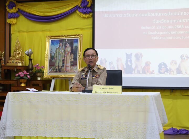 จังหวัดสมุทรปราการ บูรณาการความร่วมมือองค์กรปกครองส่วนท้องถิ่นเตรียมความพร้อมสร้างศูนย์พักพิงสุนัขจรจัด เพื่อแก้ปัญหาสุนัขจรจัดต่างๆ ไม่ให้ก่อความเดือดร้อน รำคาญแก่ประชาชนทั่วไป วันนี้ (23 มิ.ย.68) เวลา 13.00 น. นายศุภมิตร ชินศรี ผู้ว่าราชการจังหวัดสมุทรปราการ เป็นประธานประชุมการเตรียมความพร้อมในการดำเนินการสร้างศูนย์พักพิงสุนัขจรจัดจังหวัดสมุทรปราการ ณ ห้องประชุมเทศบาลตำบลบางเมือง อำเภอเมืองฯ จังหวัดสมุทรปราการ โดยมี หน่วยงานที่เกี่ยวข้อง และผู้แทนองค์กรปกครองท้องถิ่นในพื้นที่ เข้าร่วมประชุม หารือแนวทางในการดำเนินการสร้างพักพิงสุนัขจรจัดจังหวัดสมุทรปราการ เพื่อแก้ปัญหาสุนัขจรจัดต่างๆ ไม่ให้ก่อความเดือดร้อน รำคาญแก่ประชาชนทั่วไป เป็นไปอย่างมีประสิทธิภาพ และมีความยั่งยืน รวมทั้งขับเคลื่อนการดำเนินโครงการสัตว์ปลอดโรค คนปลอดภัย จากโรคพิษสุนัขบ้า ตามพระราชปณิธาน ศาสตราจารย์ ดร.สมเด็จเจ้าฟ้า ฯ กรมพระศรีสวางควัฒน วรขัตติยราชนารี ในการกำจัดโรคพิษสุนัขบ้าให้หมดไปจากประเทศไทย จังหวัดสมุทรปราการ เป็นจังหวัดที่มีทั้งสุนัข และแมวจรจัดเป็นจำนวนมาก ข้อมูล สุนัข-แมว ที่ขึ้นทะเบียน ที่ได้รับวัคซีน ทำหมันขององค์กรปกครองส่วนท้องถิ่น ทั้งเทศบาล/อบต. ประจำปีงบประมาณ 2568 มีจำนวน 49,948 ตัว ซึ่งจังหวัดสมุทรปราการได้ให้ความสำคัญกับการจัดหาที่อยู่อาศัยหรือสถานที่พักพิงให้สุนัขจรจัดต่างๆ เพื่อไม่ให้ก่อความเดือดร้อนรำคาญแก่ประชาชนทั่วไป โดยมีนโยบายที่จะบูรณาการความร่วมมือหน่วยงานที่เกี่ยวข้องและองค์กรปกครองส่วนท้องถิ่นในพื้นที่ ดำเนินโครงการสร้างศูนย์พักพิงสุนัขจรจัดจังหวัดสมุทรปราการ เพื่อใช้เป็นสถานที่สำหรับให้ช่วยเหลือจัดสวัสดิภาพให้แก่สุนัขจรจัดที่ถูกทอดทิ้ง ไม่มีเจ้าของ หรือมีเจ้าของแต่มีสภาพแวดล้อมอยู่อาศัยกระทบกับประชาชนโดยรอบ รวมทั้งเพื่อความคุมดูแลไม่ให้มีการแพร่พันธุ์โดยเร็ว และแพร่เชื้อโรคจากสัตว์สู่สัตว์ และจากสัตว์สู่คน การหารือในเบื้องต้นจะเป็นการบูรณาการงบประมาณขององค์กรปกครองท้องถิ่นในพื้นที่ เพื่อสร้างศูนย์พักพิงสุนัขจรจัดจังหวัดสมุทรปราการ รวมทั้งการหาผู้ดูและอาหารของสุนัขจร โดยจะพื้นที่ของกรมธนารักษ์ และจะดำเนินการหาพื้นที่ที่เหมาะสม เพื่อไม่ให้ส่งผลกระทบกับประชาชนที่อาศัยบริเวณโดยรอบ